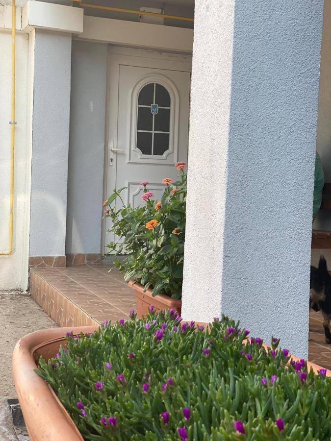 Međugorje Maca I Ante Pavlovic B&B 외부 사진